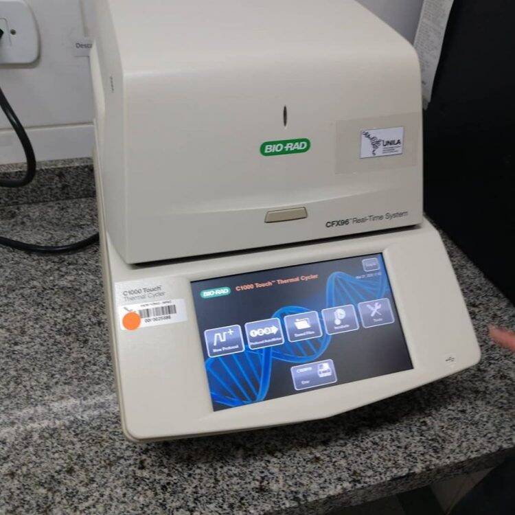 Coronavírus em Foz: Paciente número um está curada; seis estão isolados em casa