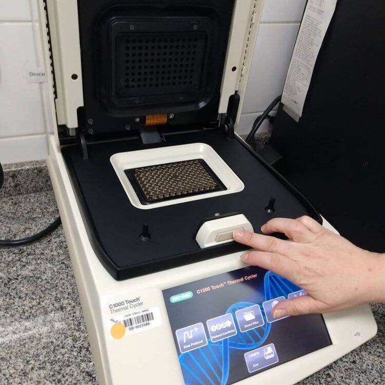 Coronavírus em Foz: Paciente número um está curada; seis estão isolados em casa