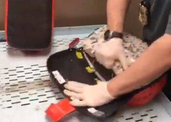 PF deflagra operação contra tráfico internacional de armas no Paraná e mais 8 estados