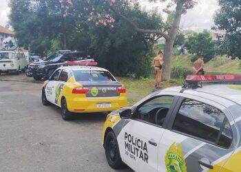 Homem que teria mostrado genitais é espancado até a morte em Curitiba