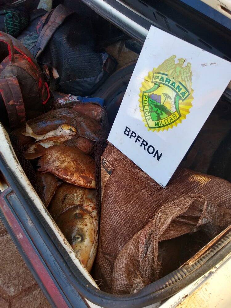 Ladrões furtam moedas de “fonte dos desejos” e são presos pelo BPFron