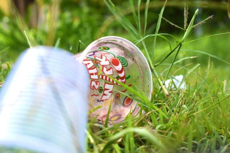 Mobilização contra a dengue retira 13 toneladas de lixo em Foz