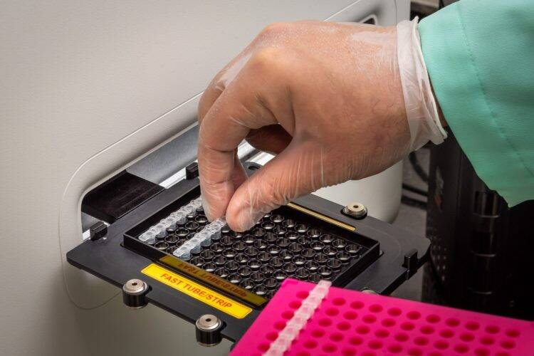 Mais uma pessoa morre por dengue em Foz; Costa Cavalcanti oferece estrutura para pacientes