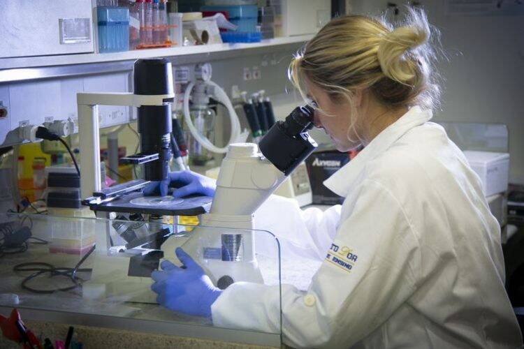 Pesquisadores mostram relação de água contaminada com zika vírus