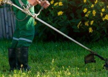 Em Cascavel, sogra e nora vão parar na delegacia após briga por corte de grama