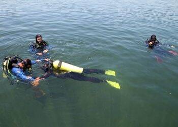 Diversidade e beleza atraem mergulhadores ao Rio Paraná