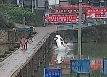 Motorista cai com carro em rio 10 minutos após receber carteira de motorista