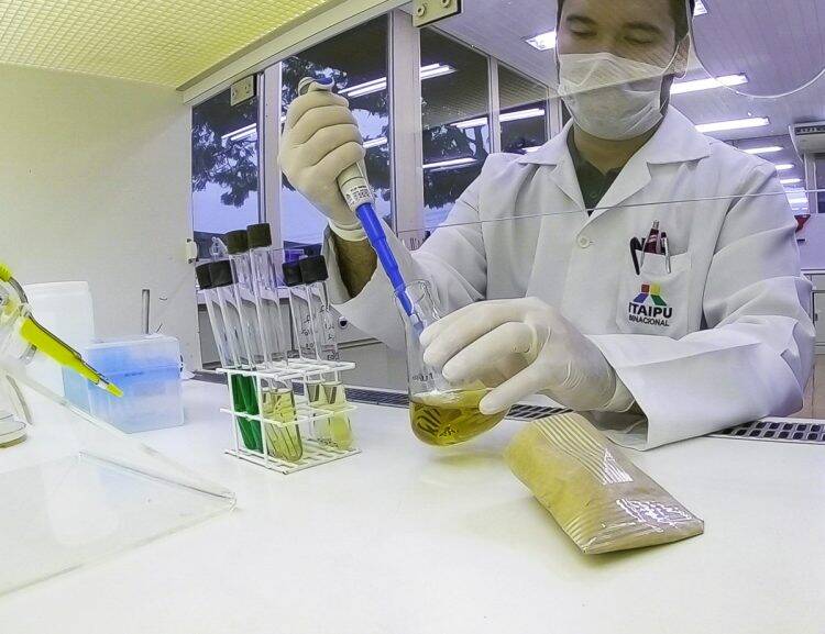 Laboratório da Itaipu testa qualidade de álcool glicerinado produzido pela Unila