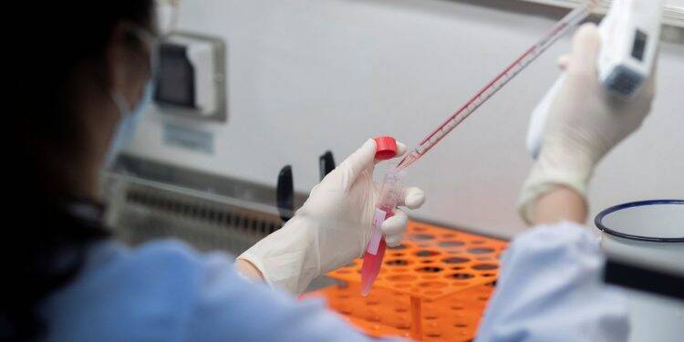 Pesquisa identifica medicamentos que podem combater o coronavírus