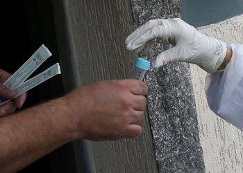 Covid-19: não há evidências de que curados estejam protegidos, diz OMS