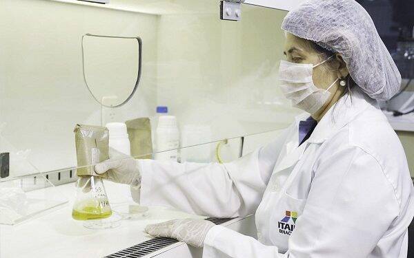 Laboratório da Itaipu testa qualidade de álcool glicerinado produzido pela Unila
