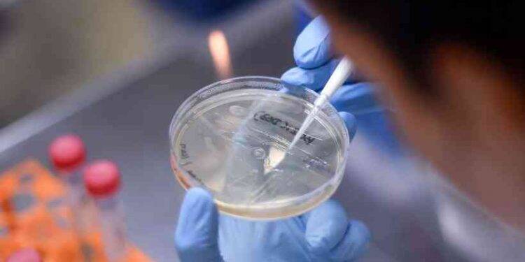 Juiz bloqueia fundos partidário e eleitoral e libera para coronavírus