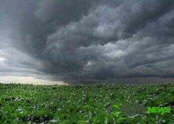 Chuvas expressivas retornam a partir de segunda na região