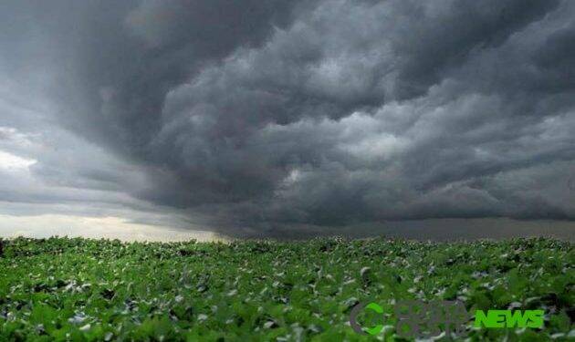 Chuvas expressivas retornam a partir de segunda na região