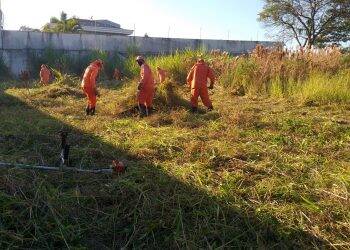 Dengue: Prefeitura intensifica fiscalização e limpeza de terrenos