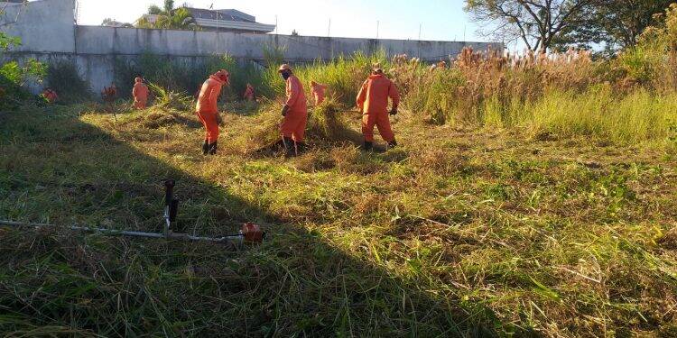 Dengue: Prefeitura intensifica fiscalização e limpeza de terrenos