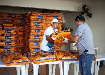 Prefeitura entrega 9 mil quilos de ração para protetores de animais