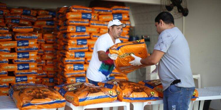 Prefeitura entrega 9 mil quilos de ração para protetores de animais
