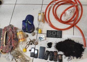 Rapaz é preso ao tentar jogar objetos dentro da PEF II