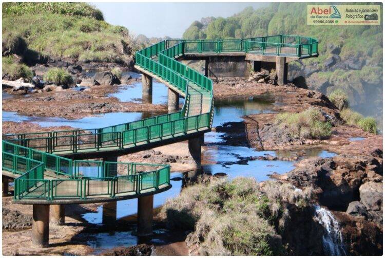 Sem público, Jacaré aparece para tomar sol nas Cataratas do Iguaçu
