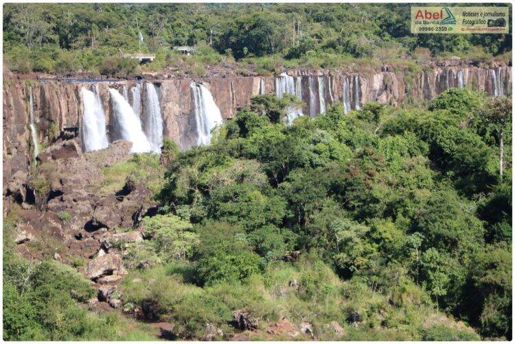Sem público, Jacaré aparece para tomar sol nas Cataratas do Iguaçu