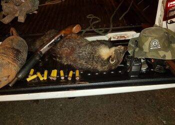 Caçadores são flagrados em atividade na região de São Miguel do Iguaçu