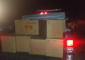 Paraguaios são detidos transportando alimentos ilegalmente pelo Rio Paraná