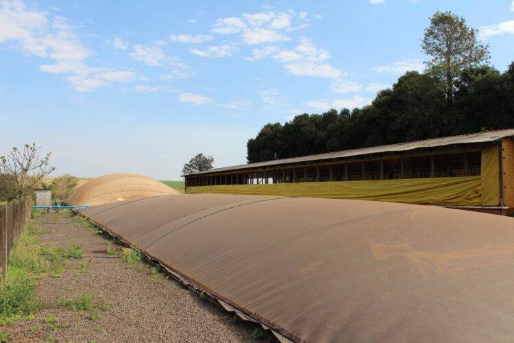 GEF Biogás Brasil lança em maio curso remoto gratuito sobre fundamentos do biogás