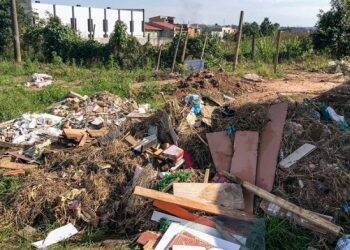 Assembleia aprova lei para combater surto de dengue no Paraná