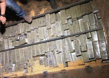 Apreensão de drogas cresce quase 40% no Paraná