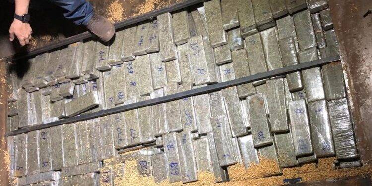Apreensão de drogas cresce quase 40% no Paraná