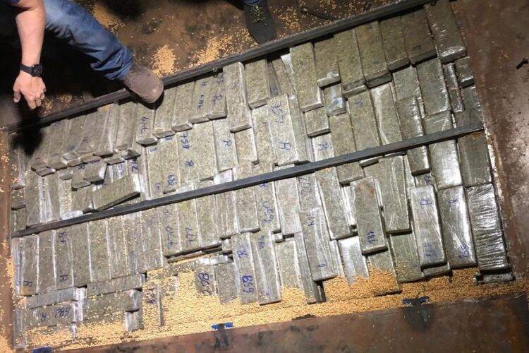 Apreensão de drogas cresce quase 40% no Paraná