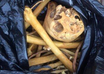 Coletor de lixo encontra ossada humana no Bairro Morumbi