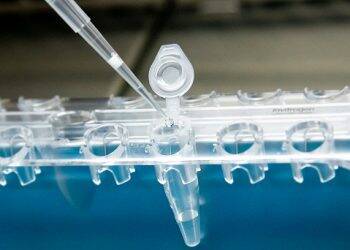 Costa Cavalcanti inicia testagem de  covid-19 de todos os municípios da 9ª Regional