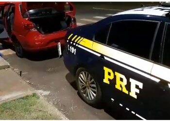PRF apreende quase 30 quilos de maconha dentro de veículo em Santa Terezinha