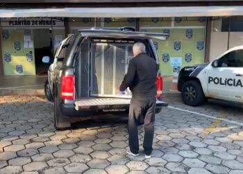 Polícia Civil localiza segundo suspeito de ataque à grávida no Jardim América
