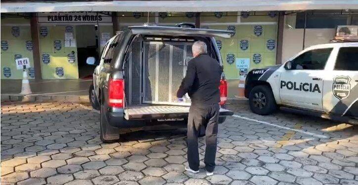 Polícia Civil localiza segundo suspeito de ataque à grávida no Jardim América