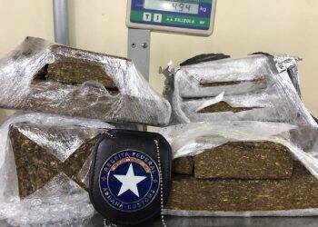 Receita Federal apreende maconha em remessas postais