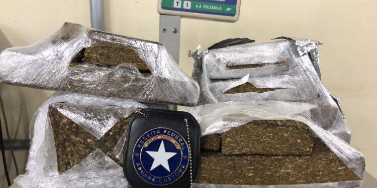 Receita Federal apreende maconha em remessas postais