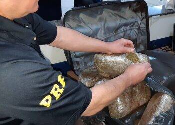 PRF encontra 10 quilos de drogas em ônibus que saiu de Foz com destino à Curitiba