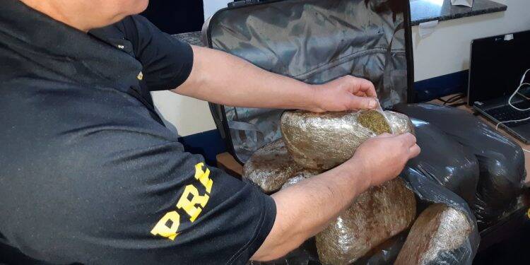 PRF encontra 10 quilos de drogas em ônibus que saiu de Foz com destino à Curitiba