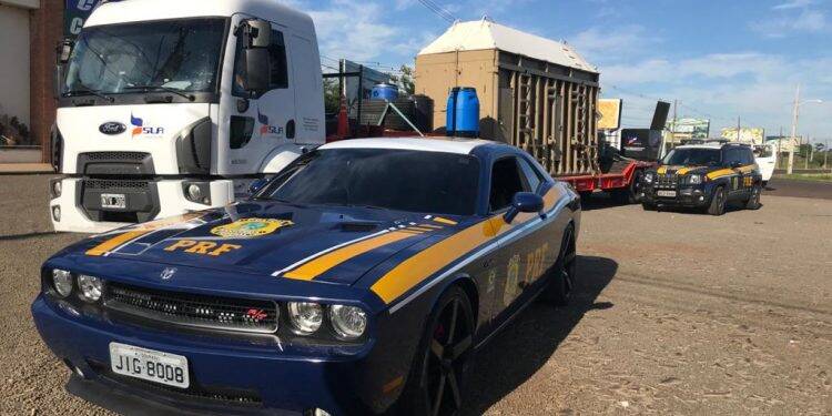 Elefanta que vivia em Buenos Aires passa por Foz com destino ao Mato Grosso