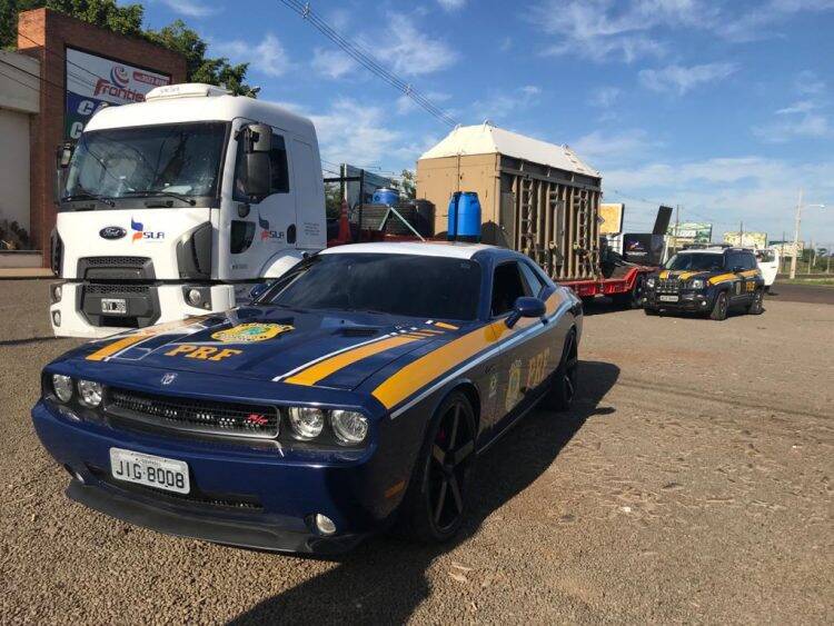 Elefanta que vivia em Buenos Aires passa por Foz com destino ao Mato Grosso