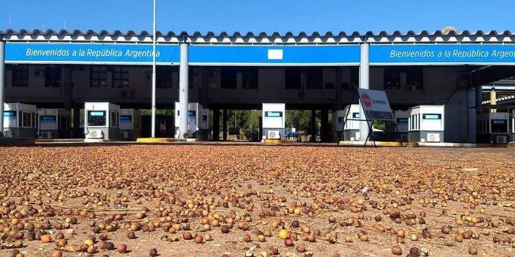 Mais de cem veículos participam de carreata em Foz pela reabertura das fronteiras