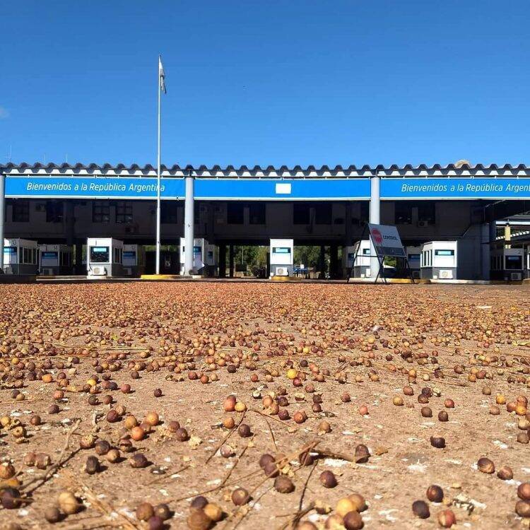 Mais de cem veículos participam de carreata em Foz pela reabertura das fronteiras