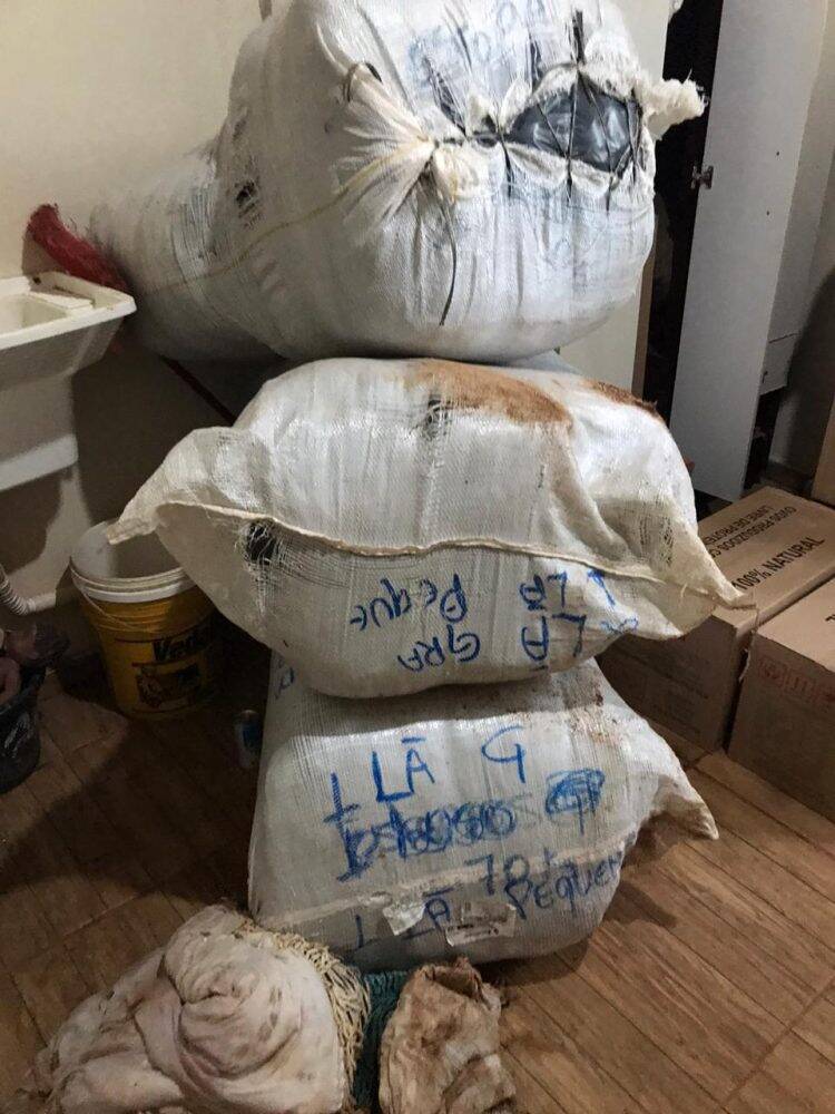 Polícia Federal apreende quase duas toneladas de alimento que seriam levadas ao Paraguai