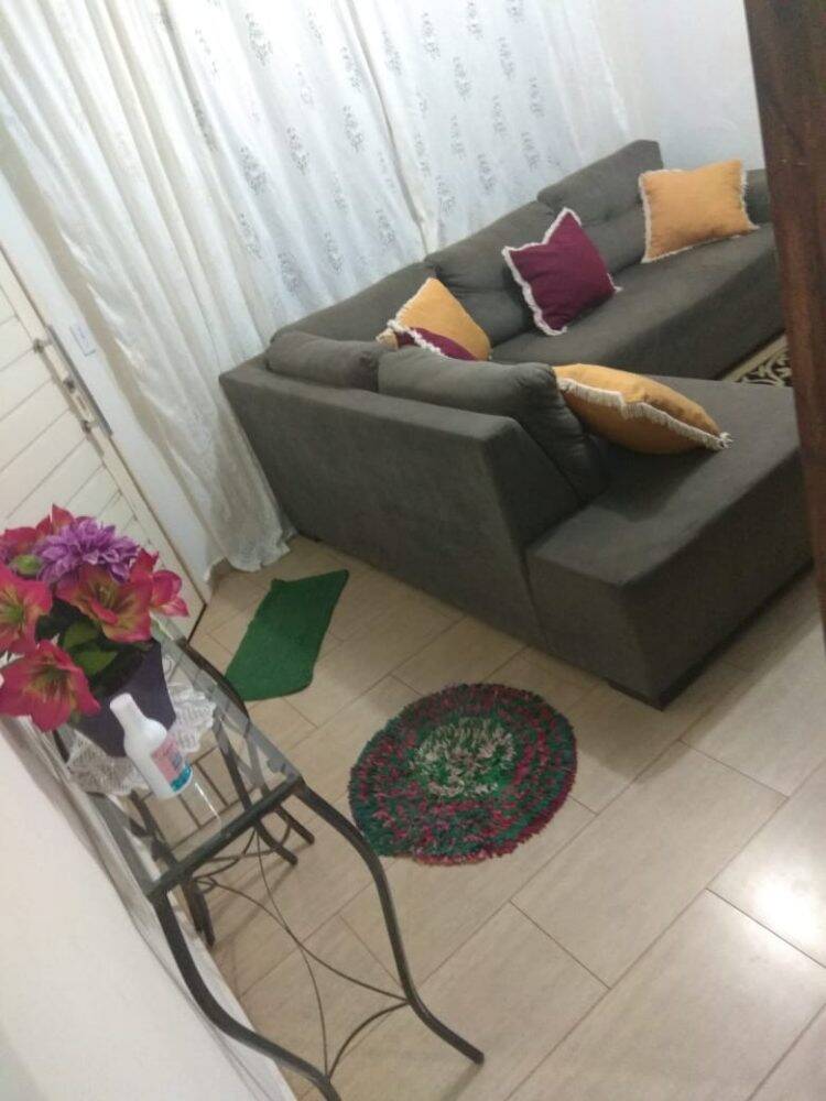 Classificados 27 05 2020