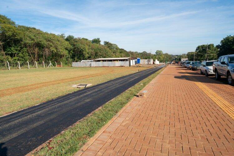 Plantio de mudas contribui com regeneração vegetal de fragmento florestal, na Vila A