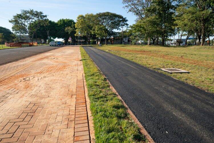 Plantio de mudas contribui com regeneração vegetal de fragmento florestal, na Vila A