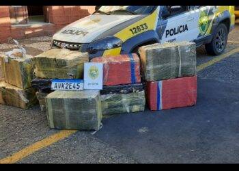 Suspeito oferece 400 kg de maconha para a polícia e é preso por tráfico e corrupção